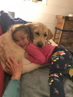 Upper Valley Dog Behavior Consultant and Training, VT-NH